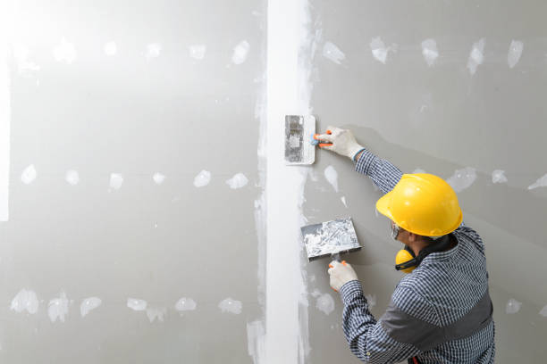 Best Biohazard Mold Removal  in Duson, LA