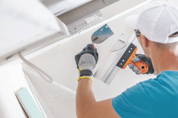 Best Dehumidification Services  in Duson, LA